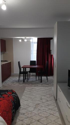Irvin Apartament - Location saisonnière - Iaşi