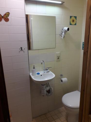 Small room with a private external bathroom, Kaunas (foto 3)