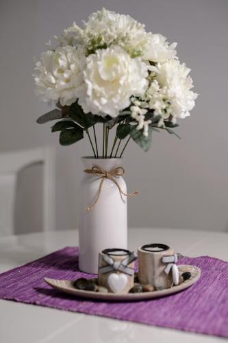 Apartman Centar Lux Valjevo - image 7