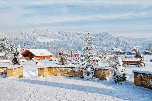 Pensiunea Inima Bucovinei in Frasin