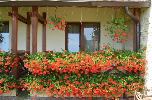 Twin Room with Balcony