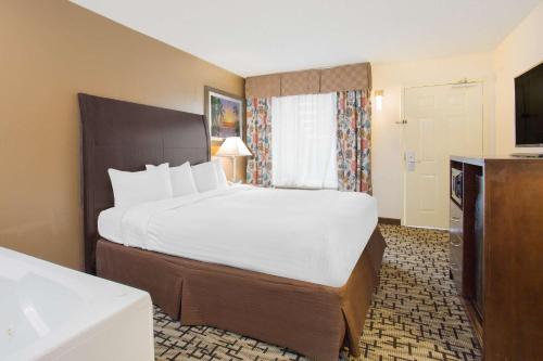 King Suite with Sofa Bed and Communication Assistance