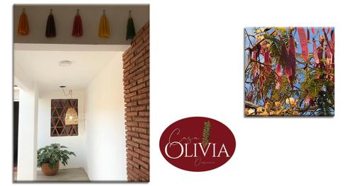 Casa Olivia Oaxaca