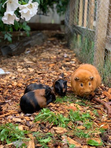 Tailor Made Tekapo Accommodation - Hostel in Lake Tekapo
