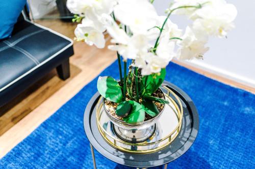 Apartment in Blackpool 