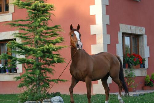 CASUCAS LA GUARIZA ( Casa Marta)