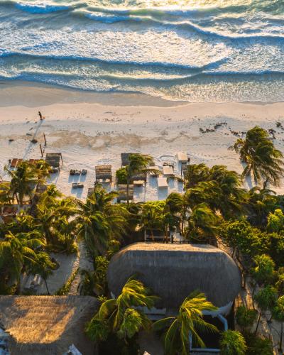 NEST Tulum, Tulum