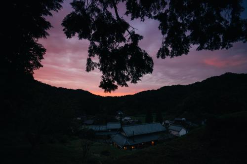 The Ninja Mansion
