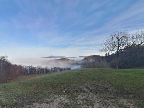  Il Castagneto in Camerino