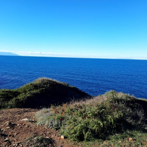 Le Bozze "Casa Olivo"con piscina, WI-FI