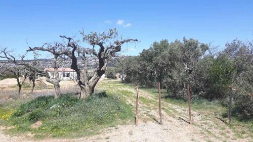 villa 5 couchages gîte à louer Aubignan