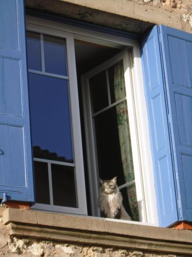 Les Heures Claires photo 16