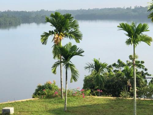 Kalla Bongo Lake Resort