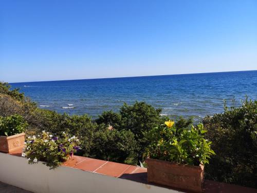 Villa Lido - image 7