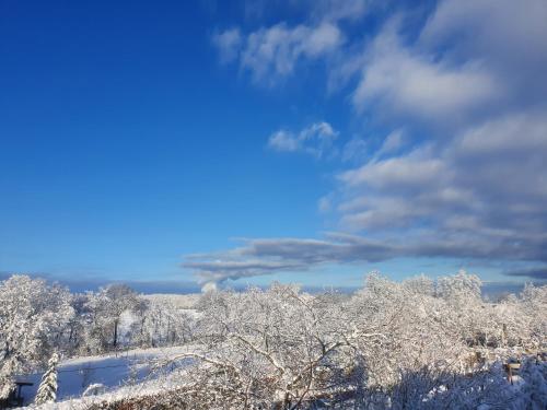 Energetischer Urlaub in der Eifel in هارتجينوالد