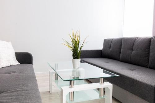 Apartament 5k Szczecin