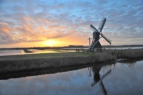 Witte Weelde Texel - image 3