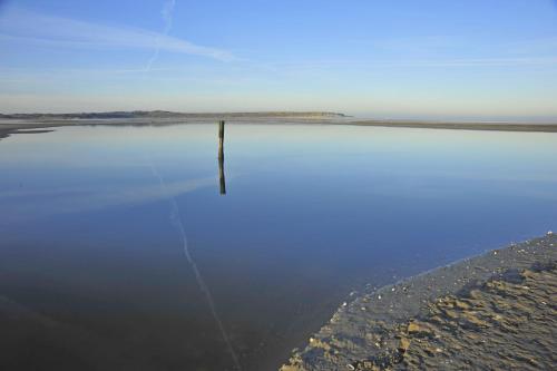 Witte Weelde Texel - image 11