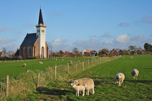 Witte Weelde Texel - image 6