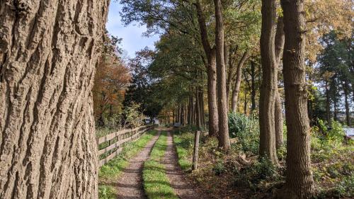Chalet Op De Veluwe # Berk in Putten