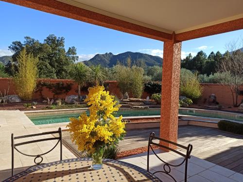 Suite with Pool View