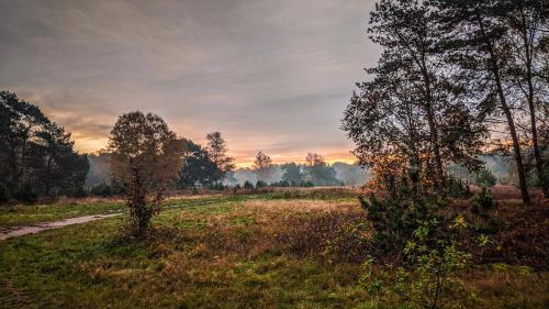 Chalet Op De Veluwe # Kastanje
