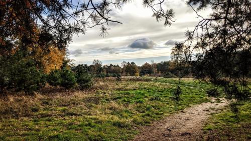 Chalet Op De Veluwe # Linde