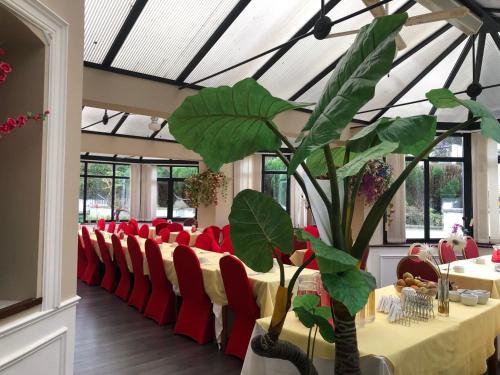 Kensington Hotel in Burnemuta