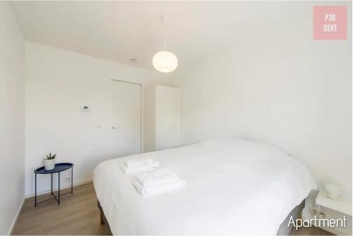 Lovely & Stylish accommodations at P36 Gent, near the Center, Gent (fotografie 10)
