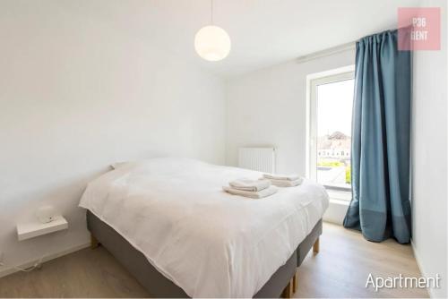 Lovely & Stylish accommodations at P36 Gent, near the Center, Gent (fotografie 9)