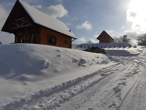 Domek na wzgórzu "WILK" (Domek na wzgorzu "WILK") in Nowy Sącz