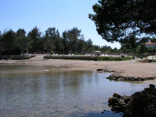 Apartment in Vir with sea view, terrace, air conditioning, Wi-Fi (4595-5)