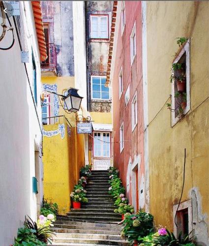 ที่เที่ยวใกล้ที่พัก, Bloom Cottage II in เชา เด เมนิโนส