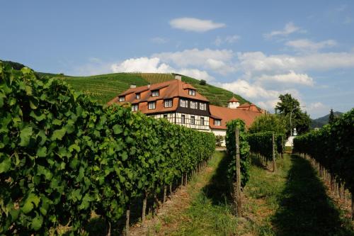 Hotel Residenz im Schloss Neuweier