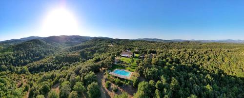 Tenuta Di Seripa - image 2