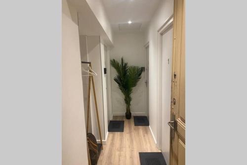 Fully renovated studio near the train station
