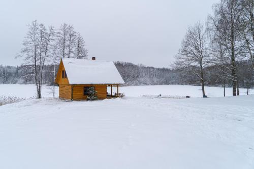 "Čiekuri"