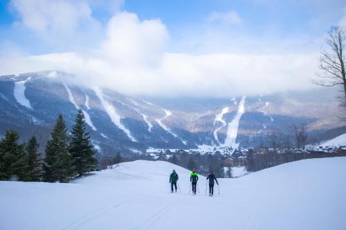 286091457 The Lodge at Spruce Peak, a Destination by Hyatt Residence