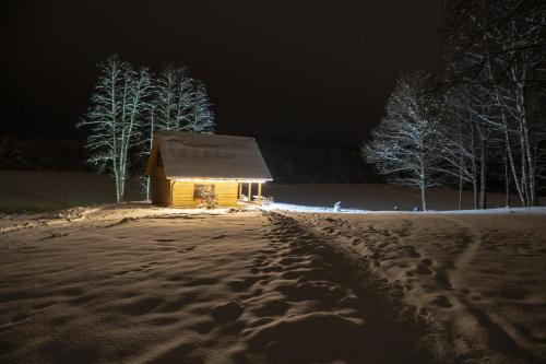 "Čiekuri"