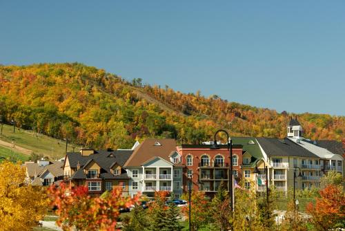 Blue Mountain Resort Mosaic Suites