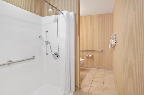 King Room with Roll-In Shower - Mobility Access/Non-Smoking