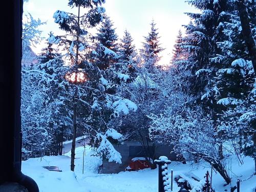 Ferienhaus Blommers in Palfau