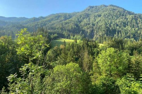 Ferienhaus Blommers in Palfau