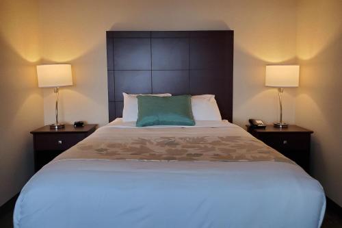 1 queen bed