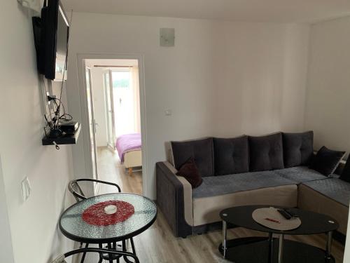 Saša Apartments Podgorica