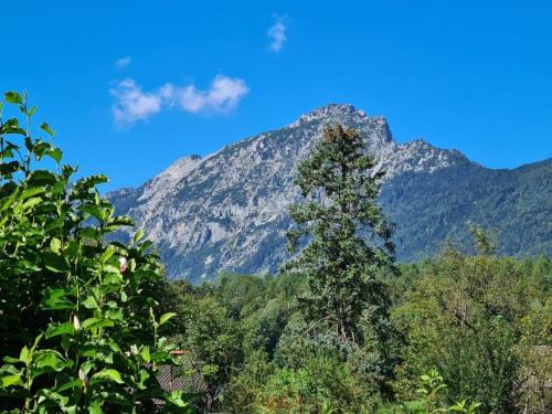 Ferienwohnungen Sommer - image 12
