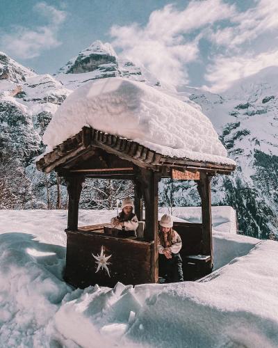 Mountain Hostel Gimmelwald - image 3