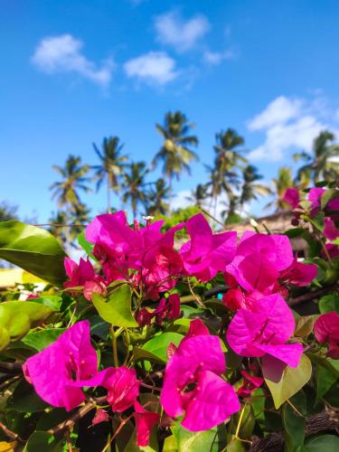 Zanzibar Bay Resort & Spa