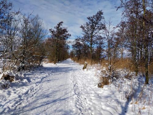  Het Kraaienbosch in Zegveld