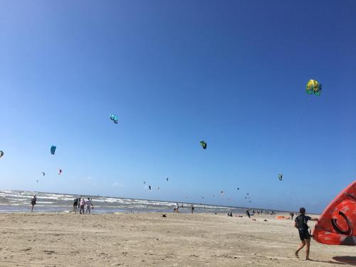 Safaritent IJmuiden aan Zee